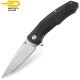 Bestech Pocket Knife Warwolf Black G10 D2