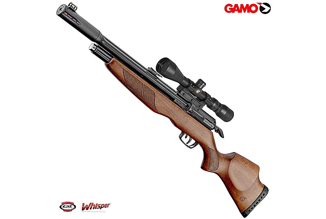 PCP Air Rifle Gamo Riser Punisher