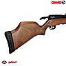 PCP Air Rifle Gamo Riser Punisher